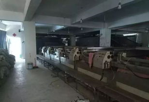 雙百行動(dòng)顯成效 環(huán)保挑戰(zhàn)下的責(zé)任與擔(dān)當(dāng)